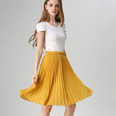 Chiffon Pleated Skirt