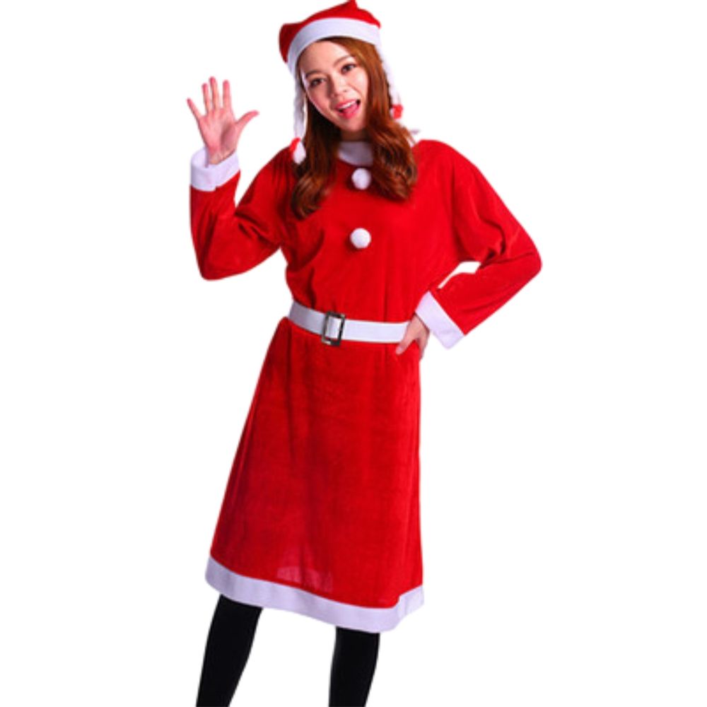 Family Santa Claus Costume