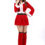 Mrs. Claus Sexy Christmas Costume