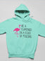 Be A Flamingo Hoodie