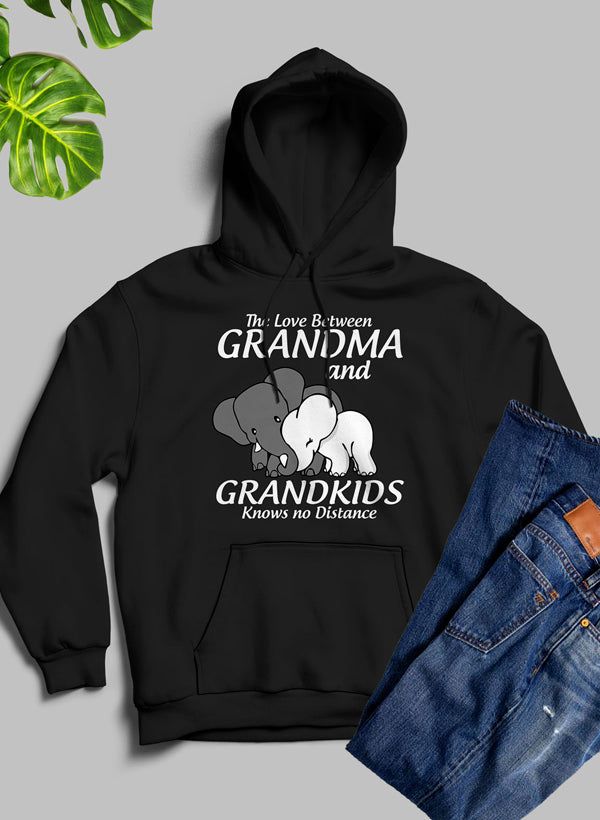 The Love Between Grandma And Grandkids  Hoodie