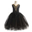 Black Swan Ballet Dress