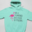 Be A Flamingo Hoodie