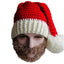 Santa's Hat Beanie