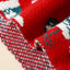 Christmas Print Scarf