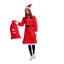 Family Santa Claus Costume