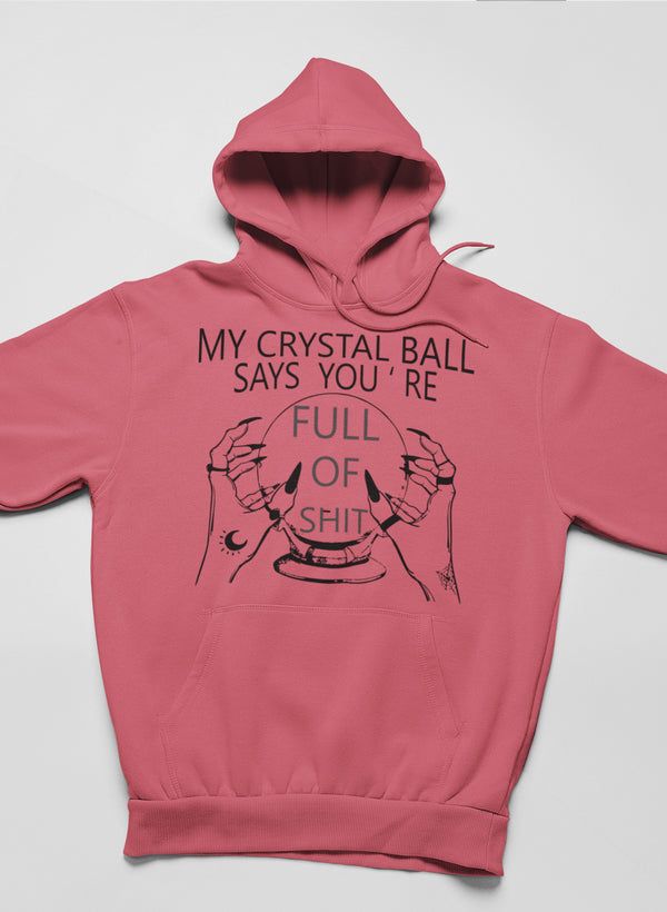 My Crystal Ball Says Hoodie