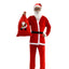 Family Santa Claus Costume