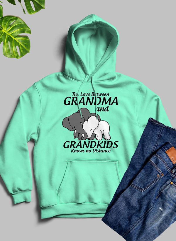 The Love Between Grandma And Grandkids  Hoodie