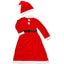 Family Santa Claus Costume