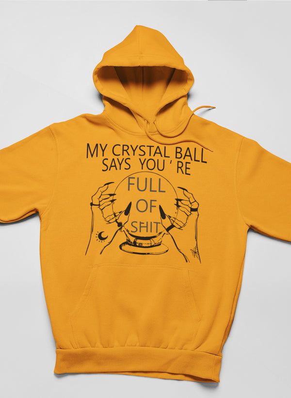 My Crystal Ball Says Hoodie