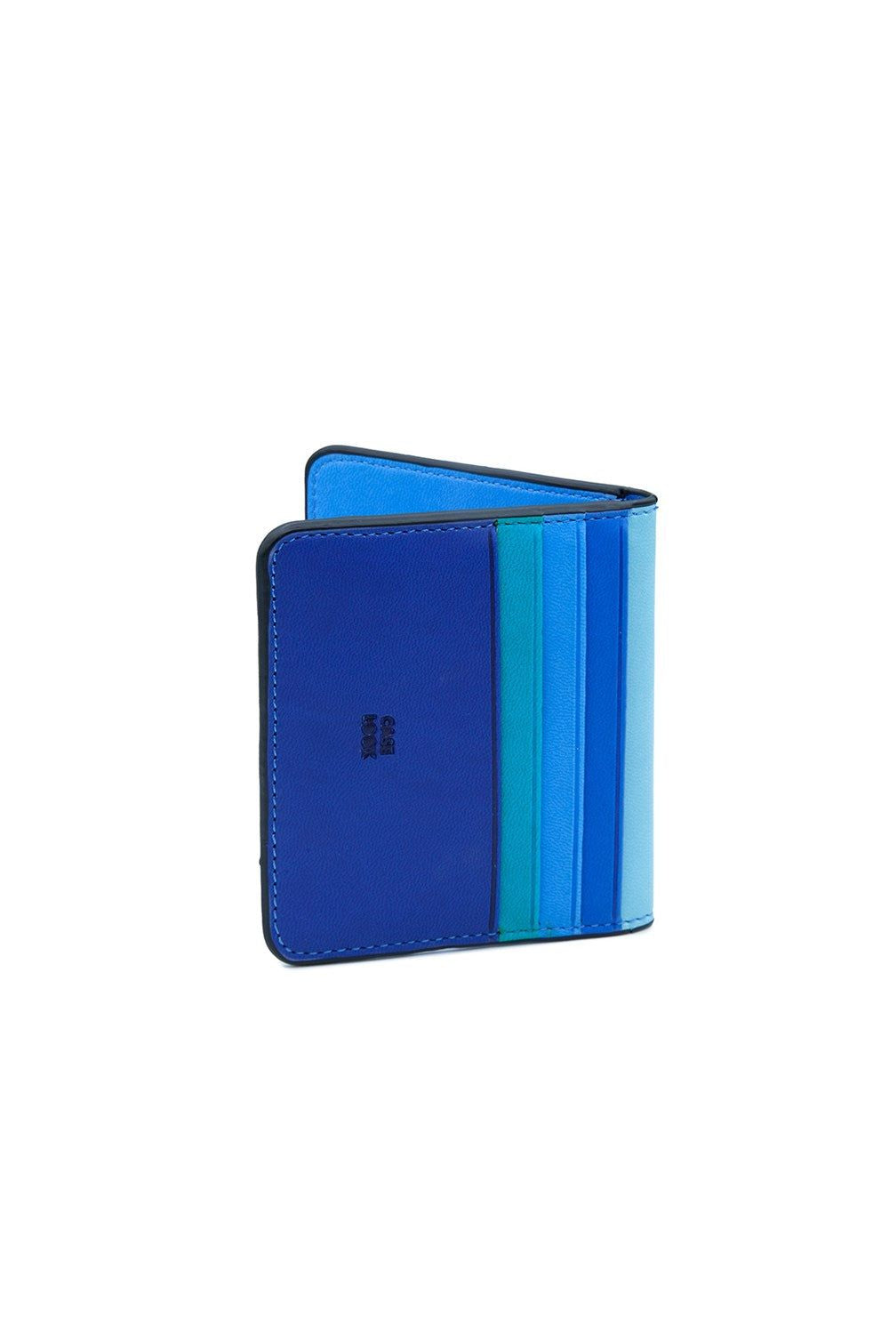 Card Holder In Blue Tones