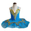 Blue And Gold Ballet Dress