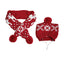 Christmas Reindeer Elk Headband and Scarf Set Dog Costumes