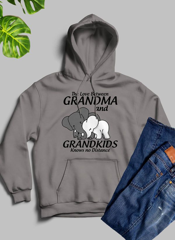 The Love Between Grandma And Grandkids  Hoodie