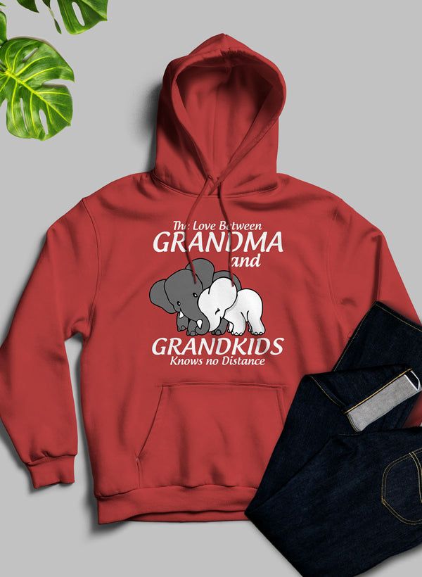 The Love Between Grandma And Grandkids  Hoodie