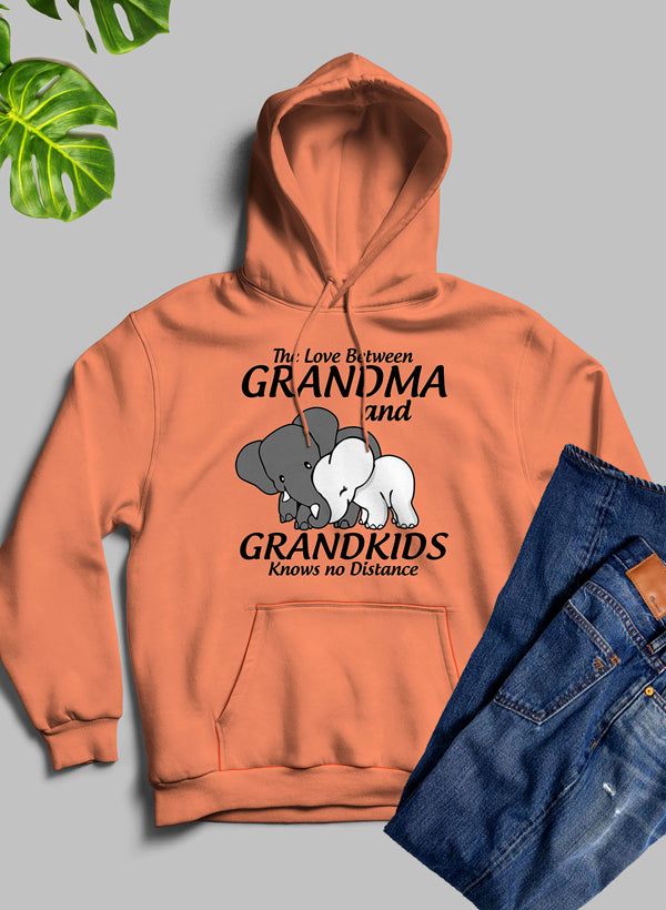 The Love Between Grandma And Grandkids  Hoodie