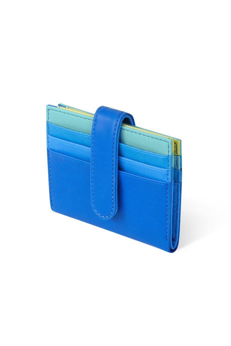 Blue Colored Snap Card Holder