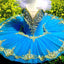 Blue Swan Ballet Dress