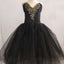 Black Swan Ballet Dress